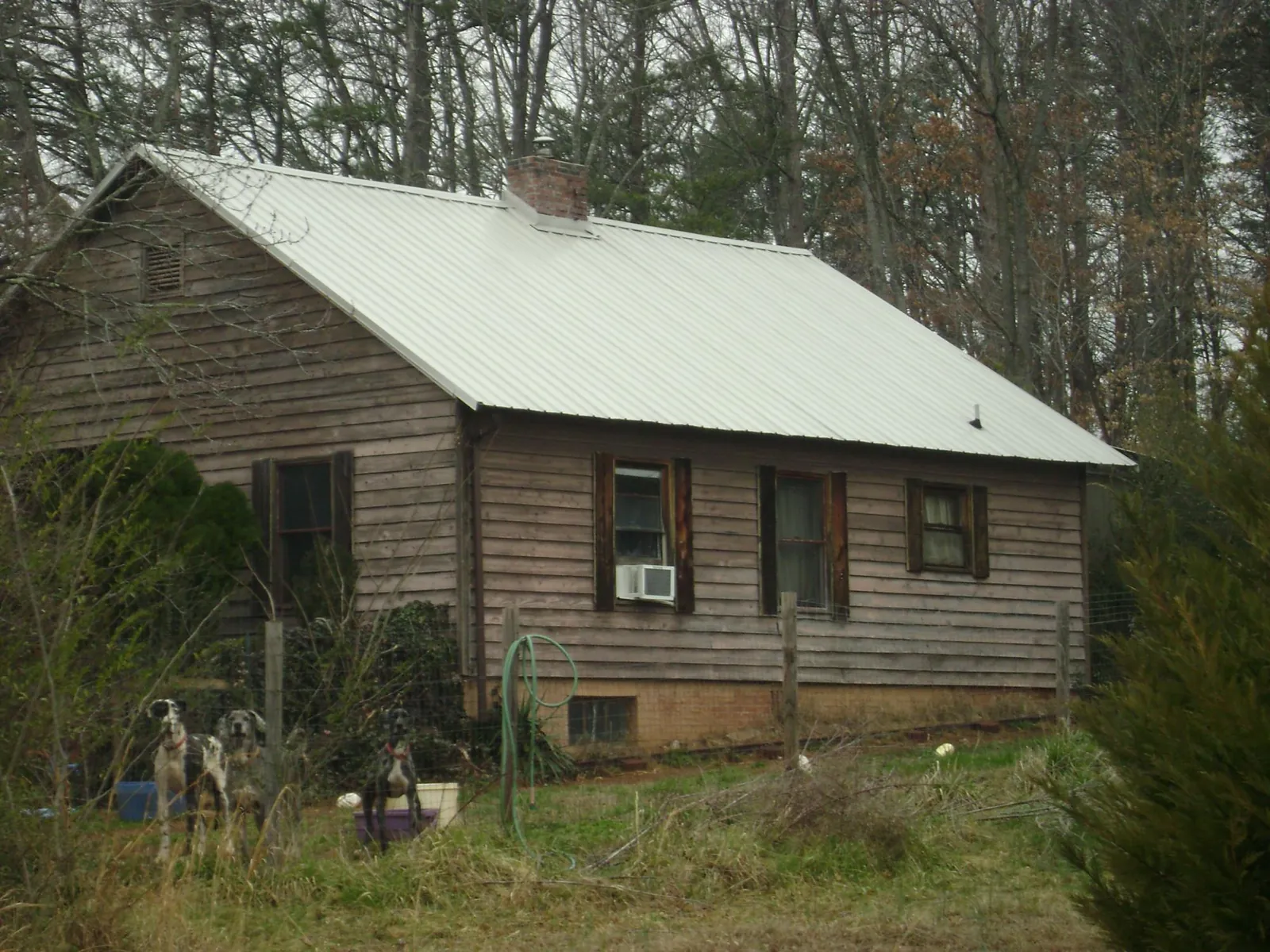 White metal roof on an old wood sided farmhouse, from a Asphalt Shingle Roof Repair job in Patricksburg
